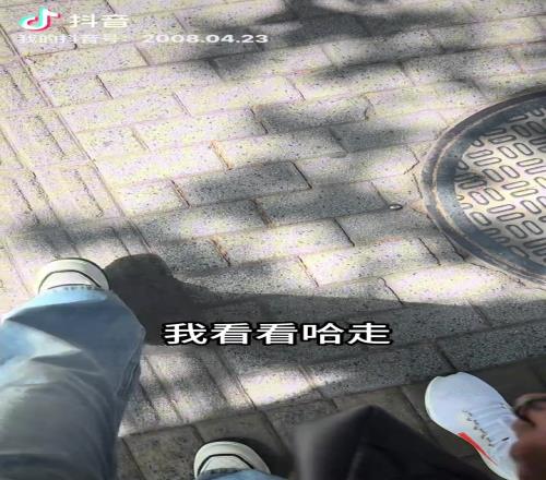 张琳芃爱妻社媒发布:爱较真的中国女人和一生要强的中国男人
