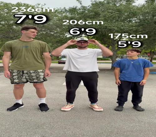 身高2米36的巨人第一視角看2米06和1米75的有多矮
