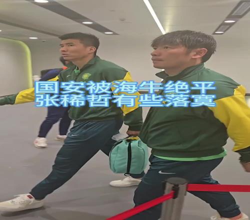 国安被青岛海牛补时绝平,赛后张稀哲、王刚表情落寞