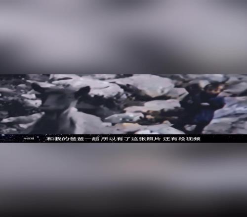 从放羊娃到足坛巨星!中场大师莫德里奇的励志人生!