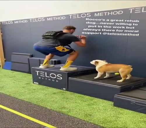 NBA最出名的小狗！湯普森愛犬Rocco近期離世