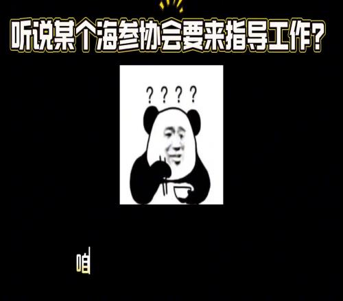 真假中国足协要插手苏超你看人家村超被指导后销声匿迹了