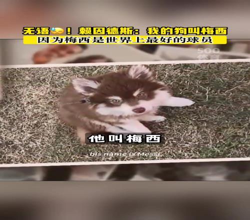 偶像！賴因德斯之前給狗取名“梅西”，因?yàn)樗鞘澜缱罴亚騿T！