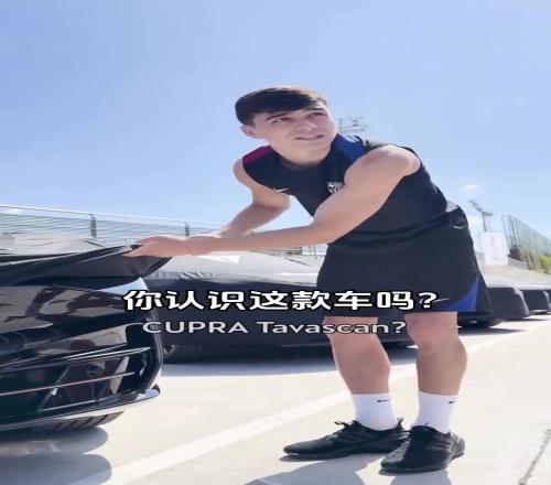 加维你小子刚有驾照就换新车啦有人认识这个牌子嘛