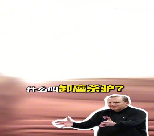 段冉:尼克斯解雇锡伯杜是卸磨杀驴!他把尼克斯带到不属于他们的高度