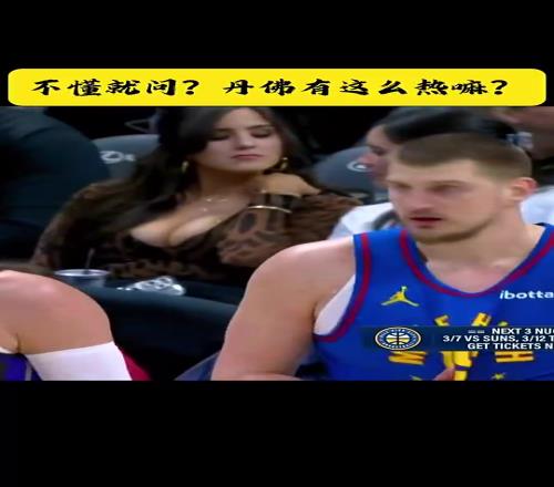 攝影師狂加雞腿約基奇身后這豹紋女球迷絕對全場最佳