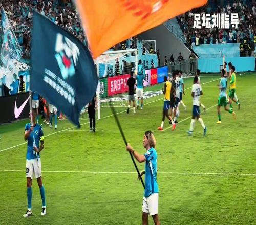 勝敗兩重天，深圳新鵬城球員賽后熱情慶祝，申花替補(bǔ)球員默默加練