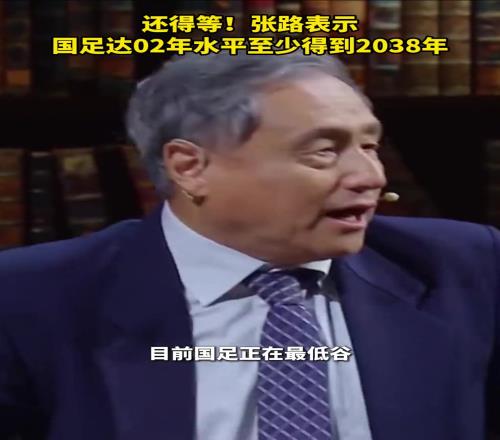 真是絕望！張路：國足要達02年水平至少得到2038年