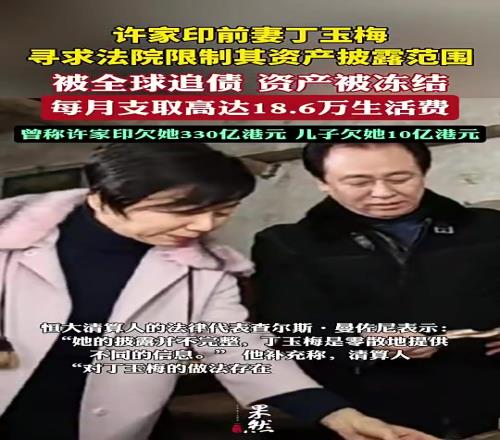 真假許家印前妻被全球追債,曾稱許家印欠她300多億