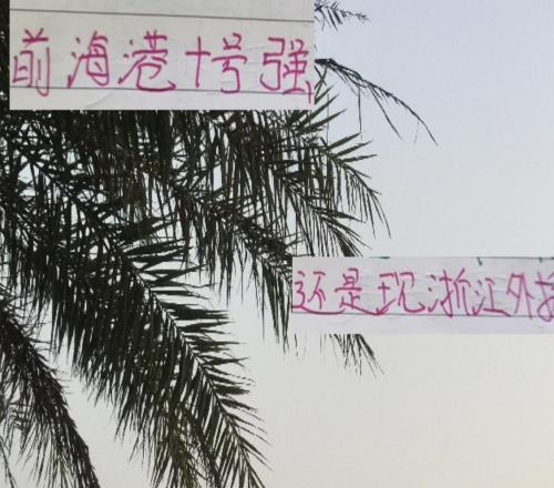 中超這兩年的最強(qiáng)外援是去年海港巴爾加斯厲害還是今年米特給力