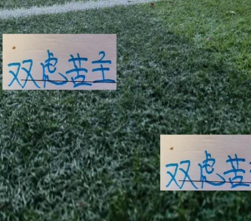 卡扎真是上海双虎苦主!他打申花进了3个球打海港又进球