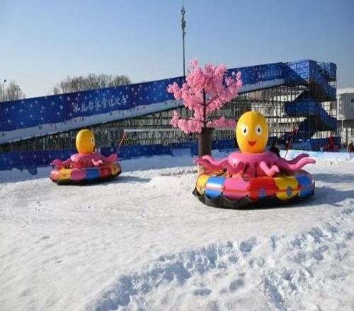 十年堅守，冰雪築夢！15萬人次殘疾人共享冰雪盛宴