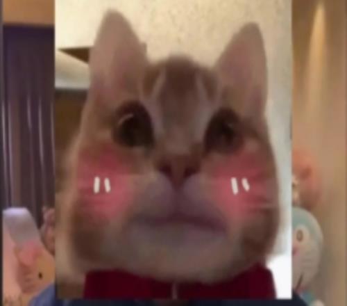 朱開：LNG中野是韓援確定了，是BuLLDoG和Croco