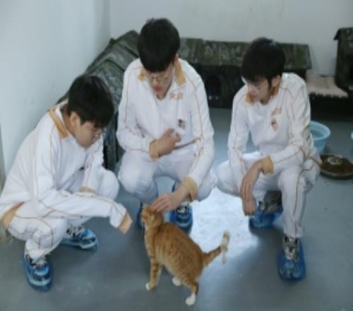 AL分享队员公益活动返图：上野辅三兄弟铲屎记！