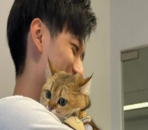 你是真用心，也是真下血本啊......