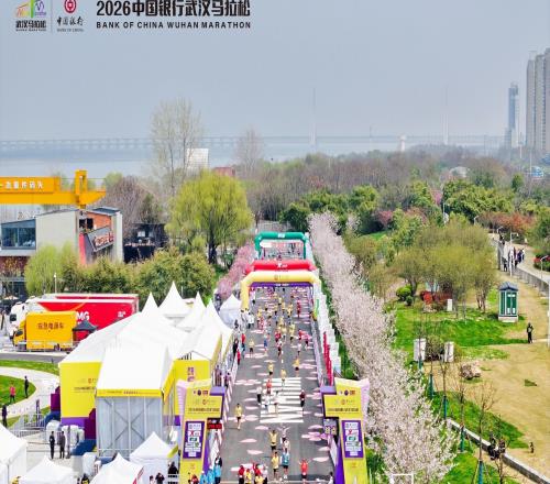 “櫻花+漢馬”雙IP加持，今年武漢馬拉鬆吸金10.15億