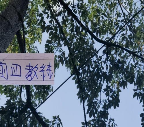 今年前4名教練明年還能“再見”嗎其他球隊不知道但申花肯定穩