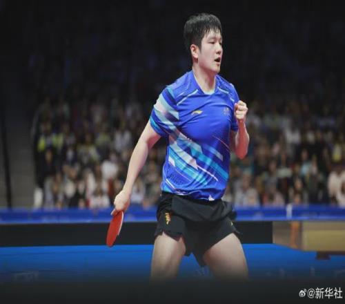 樊振东战胜王楚钦,晋级决赛