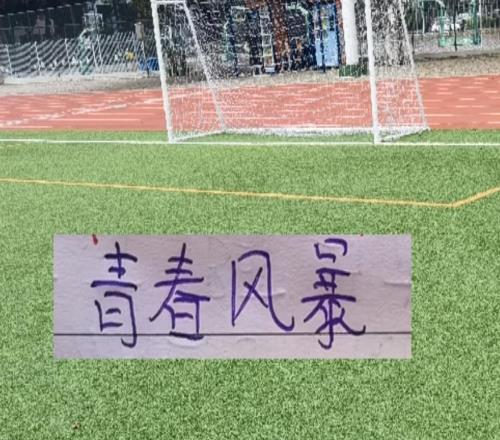 2026!中超平民球队+豪门球队海港继续青春风暴!