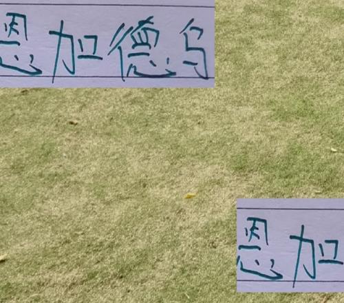 北京國安后防猛將恩加再次入選國家隊間歇期中超前4都有球員離隊