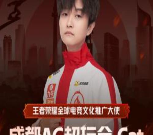 Cat發文退役:很開心十年青春在賽場拚搏,下一個十年賽場見