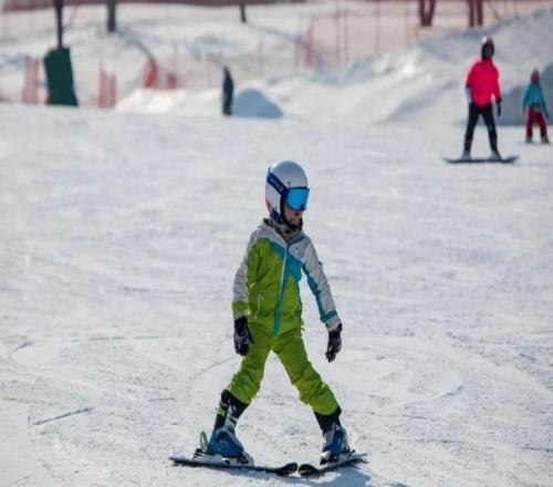 从一场雪假,看见吉林冰雪的长期主义