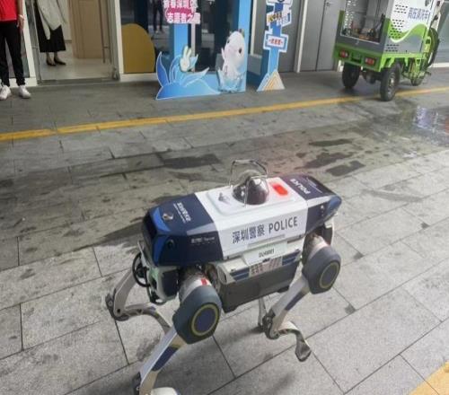 十五運會排球比賽將在深圳啟動廣東隊超過半數隊員來自深圳