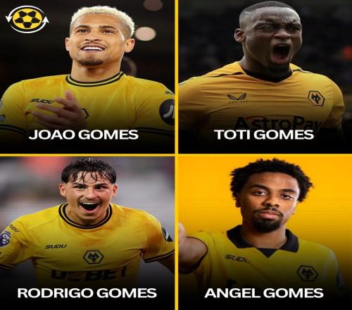 解说员噩梦,签下安热尔戈梅斯后狼队已有4名叫Gomes的球员