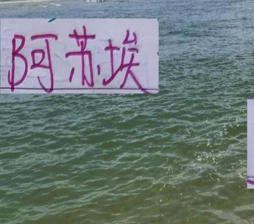 阿蘇埃已是3輪不進球打青島海牛再不進申花球迷就要喊馬萊萊