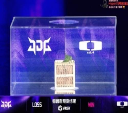 ASI賽事現(xiàn)場(chǎng)：蟈蟈預(yù)測(cè)DK將戰(zhàn)勝JDG！