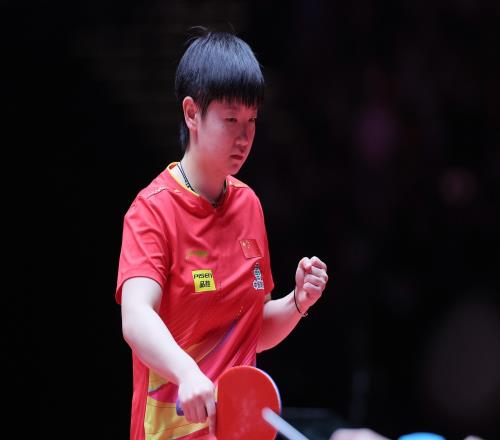 中日對決！女單14決賽對陣：孫穎莎vs大藤沙月王曼昱vs張本美和