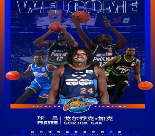 告别全华班!四川男篮官宣签NBL场均3+2中锋加克此前4战全败