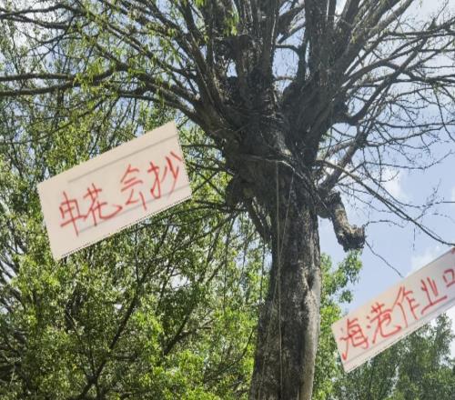 明年申花會抄海港古斯塔沃的作業(yè)嗎冷處理法國外援阿馬杜