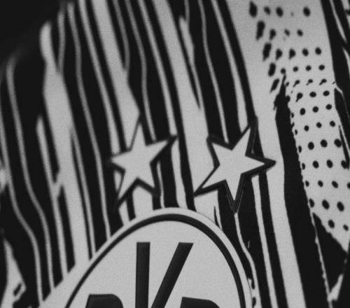 R.I.P.,上周六在多特主場接受緊急救治的球迷不幸離世