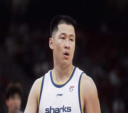張鎮(zhèn)麟打不了持球，上海男籃缺本土后衛(wèi)新援拿2分壓力給到盧偉