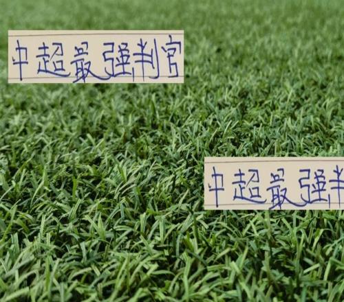 最強判官天津讓海港成都北京國安都丟分最后一輪能干申花嗎