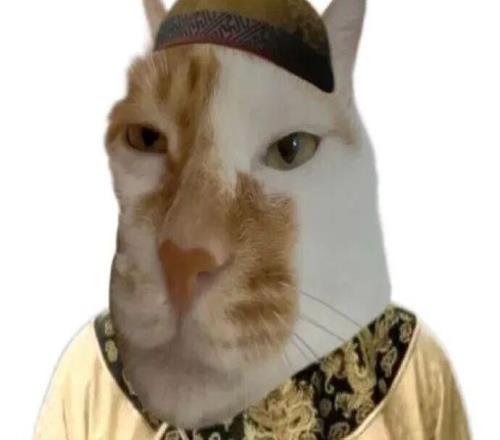 张雪机车夺冠，午夜性福利视频到底在燃什么