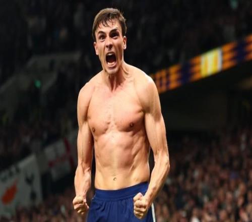 记者:帕利尼亚在热刺的长期前景不明朗,留下的可能比预期小