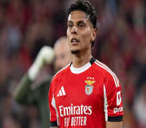 意天空：那不勒斯有意本菲卡中场里奥斯，，，已举行起源接触