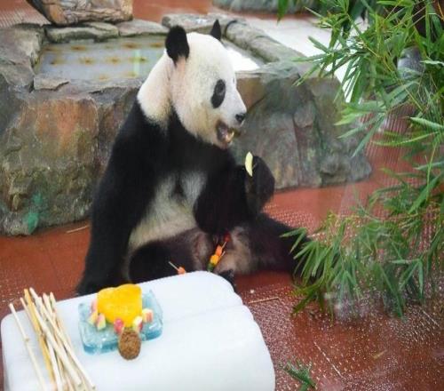 2025廣馬倒計時！收好這份吃玩住行一站式攻略