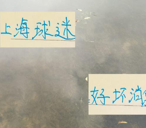 壞消息！每次間歇期北京國安都出問題好消息能給足協(xié)杯攢經(jīng)驗值