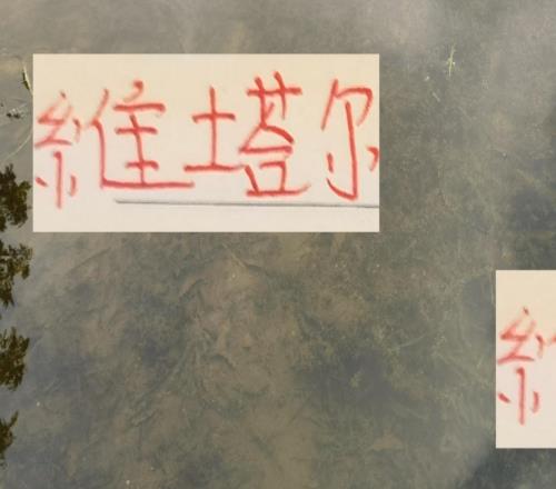 海港奥斯卡后继有人维塔尔已是中超助攻榜二就差河南纳萨一个球