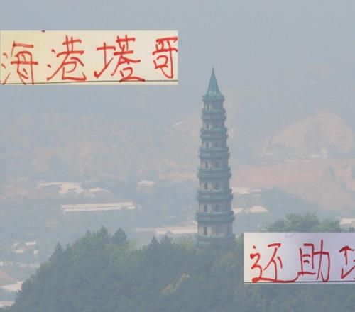 海港塔哥申花的10號北京國安的古加誰能一腳油門踩到底奪冠