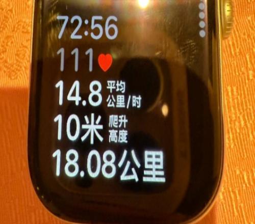 Elk深夜曬出上海騎行照片：72分鐘騎行18公里Shadow現(xiàn)身評論區(qū)