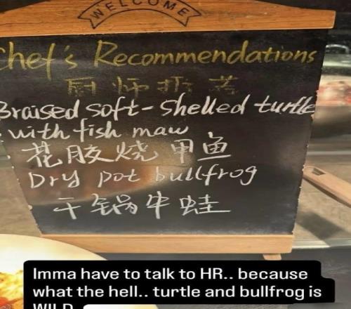 汤森德再次为去年在中国赛季的不当言论找借口