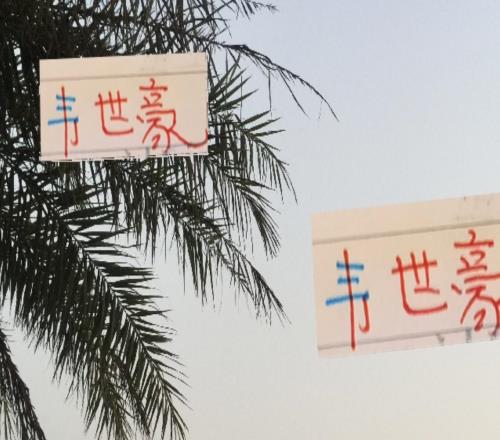成都終於發韋世豪傷情公告筆者感覺一星期後戰申花問題不大