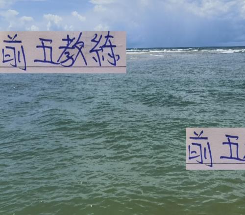 還剩4輪！明年前5的教練就只有申花斯盧茨基是官宣續(xù)約