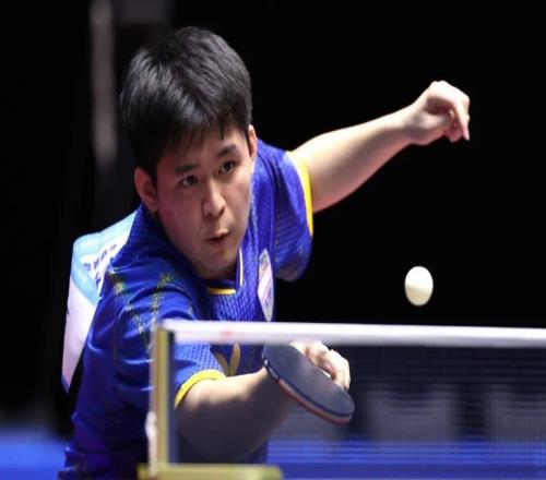 海南队“全村的希望”!林诗栋将与樊振东争夺乒乓球男单金牌