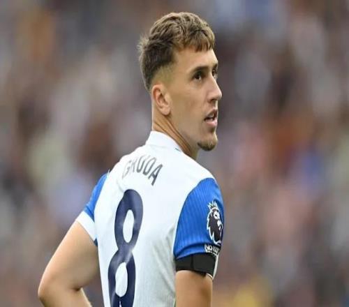 记者:布莱顿前锋格鲁达即将租借加盟莱比锡