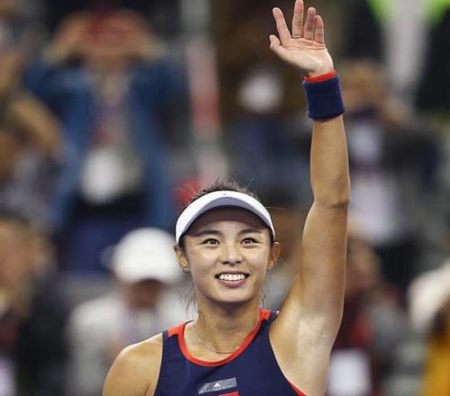 网坛蔷薇,静默离场:王蔷与她那未竟的绚烂诗篇